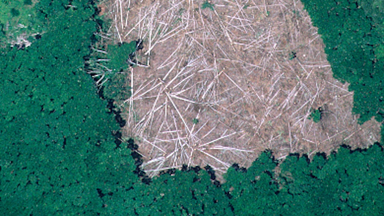Déforestation au Brésil : l’équivalent d’un million de terrains de foot rasés en un an