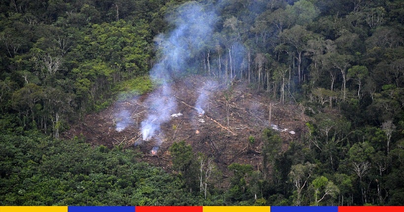 En 2021, chaque minute, la forêt tropicale a perdu l’équivalent de dix terrains de foot